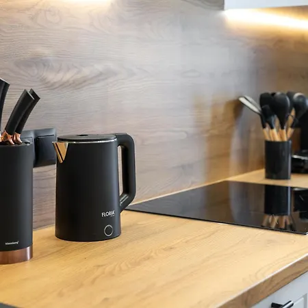 Krokus Lägenhet Nowy Targ